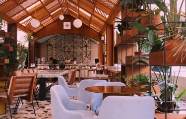 An interior of a restaurant with a wooden roof, plants and chairs